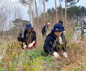 강릉 새봄맞이 아름다운 보래미마을 가꾸기 식목행사